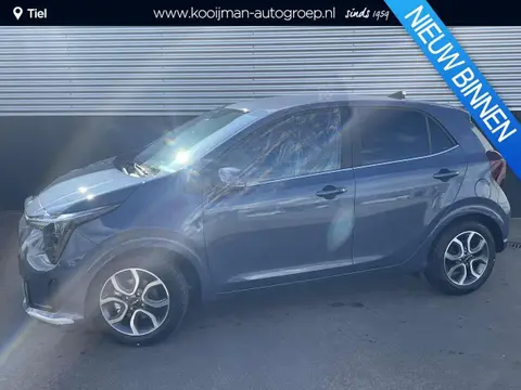 Used KIA PICANTO Petrol 2024 Ad 