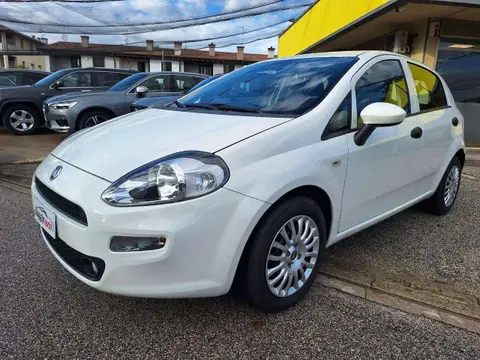 Used FIAT PUNTO Diesel 2018 Ad 