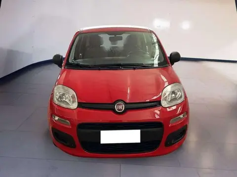 Used FIAT PANDA Hybrid 2021 Ad 