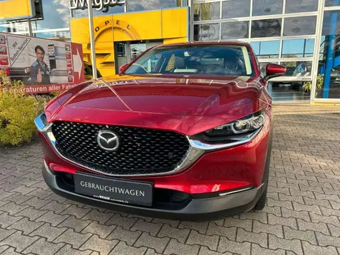 Annonce MAZDA CX-30 Essence 2020 d'occasion 