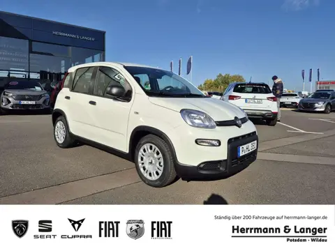 Annonce FIAT PANDA Essence 2024 d'occasion 