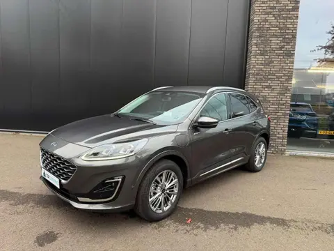 Used FORD KUGA Hybrid 2024 Ad 