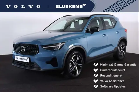 Used VOLVO XC40 Hybrid 2024 Ad 