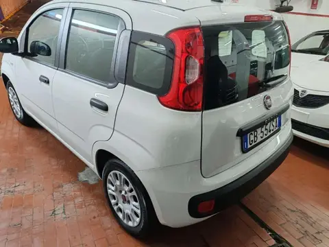 Used FIAT PANDA Petrol 2020 Ad 