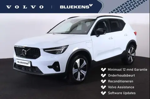 Annonce VOLVO XC40 Hybride 2023 d'occasion 