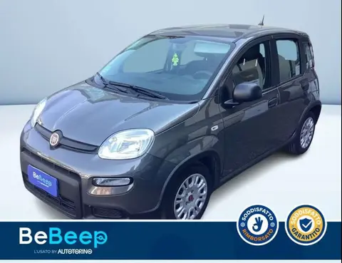 Annonce FIAT PANDA Hybride 2023 d'occasion 