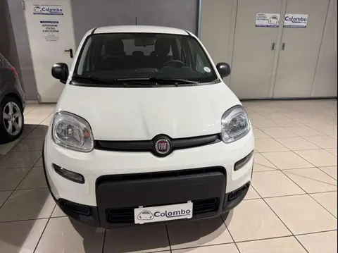 Annonce FIAT PANDA Hybride 2024 d'occasion 