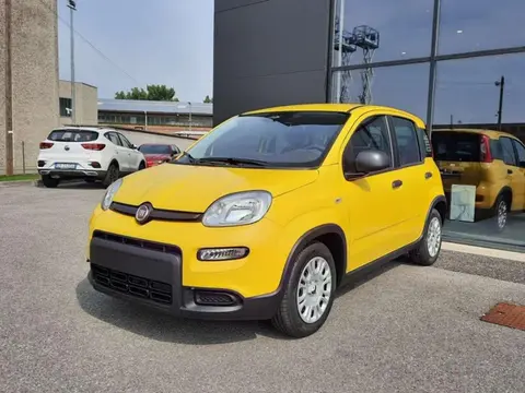 Annonce FIAT PANDA Hybride 2024 d'occasion 