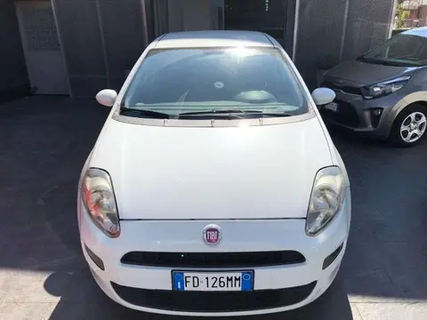 Annonce FIAT PUNTO Essence 2016 d'occasion 