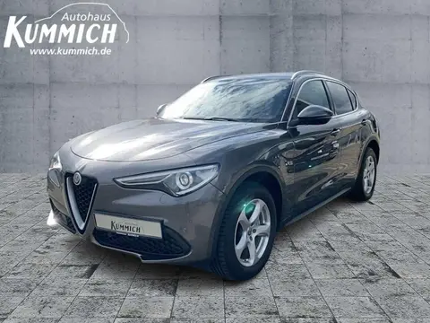 Used ALFA ROMEO STELVIO Diesel 2019 Ad 