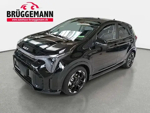 Annonce KIA PICANTO Essence 2024 d'occasion 