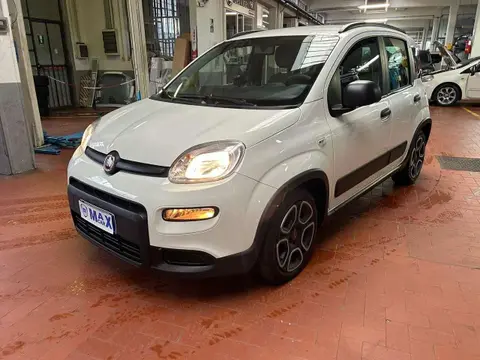 Used FIAT PANDA Hybrid 2022 Ad Italy