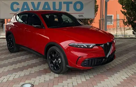 Annonce ALFA ROMEO TONALE Diesel 2023 d'occasion 