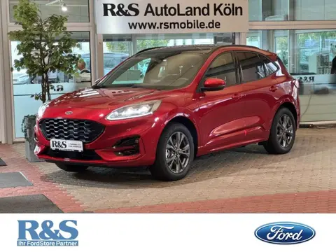 Annonce FORD KUGA Hybride 2021 d'occasion 