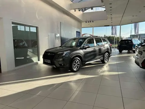 Annonce SUBARU FORESTER Hybride 2024 d'occasion 