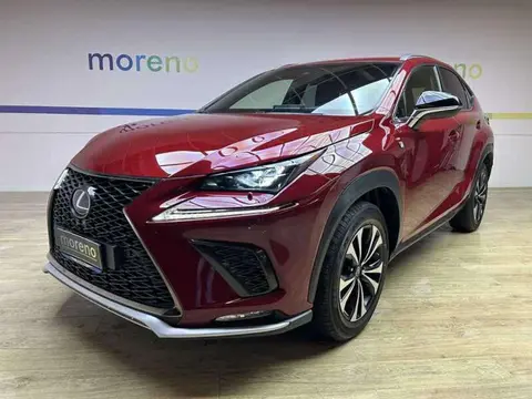 Annonce LEXUS NX Hybride 2019 d'occasion 