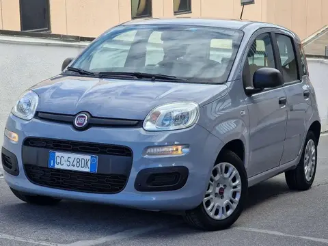 Used FIAT PANDA Hybrid 2020 Ad 