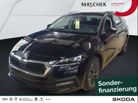 Annonce SKODA OCTAVIA Essence 2024 d'occasion 