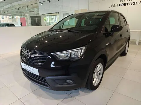 Used OPEL CROSSLAND Petrol 2019 Ad 