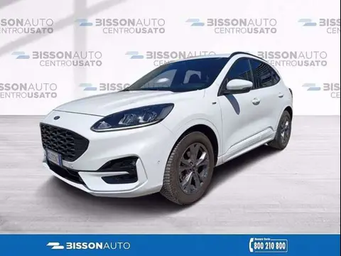 Used FORD KUGA Diesel 2021 Ad 