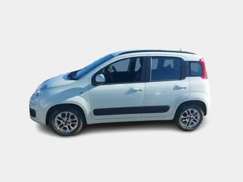 Annonce FIAT PANDA Essence 2019 d'occasion 