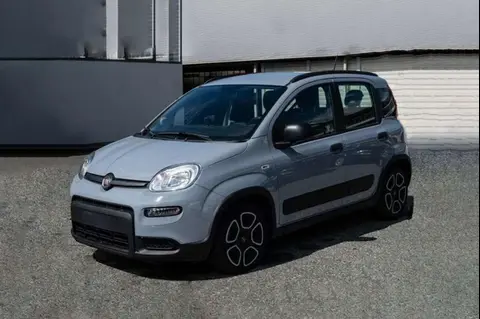 Annonce FIAT PANDA Hybride 2022 d'occasion 