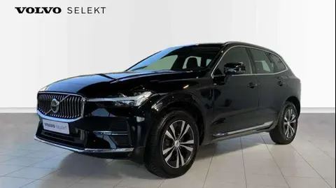 Annonce VOLVO XC60 Essence 2023 d'occasion Belgique