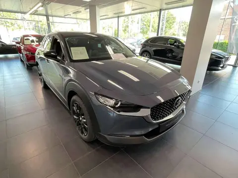 Annonce MAZDA CX-30 Essence 2024 d'occasion 