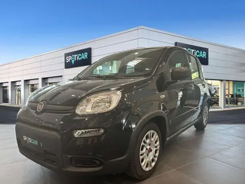 Used FIAT PANDA Hybrid 2023 Ad 