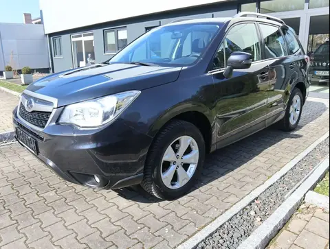 Used SUBARU FORESTER Petrol 2015 Ad 