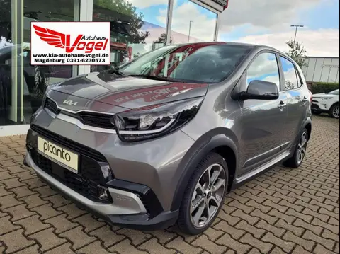 Used KIA PICANTO Petrol 2024 Ad 