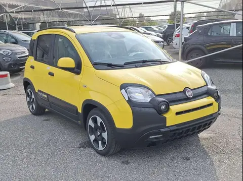 Annonce FIAT PANDA Hybride 2024 d'occasion 