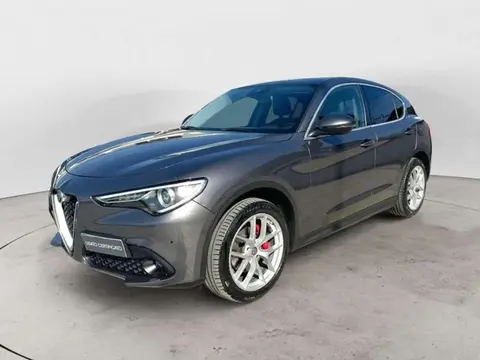 Used ALFA ROMEO STELVIO Diesel 2019 Ad 