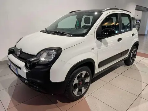 Used FIAT PANDA Petrol 2020 Ad 