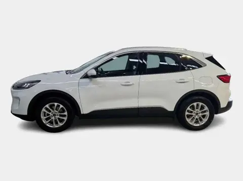 Used FORD KUGA Diesel 2021 Ad 