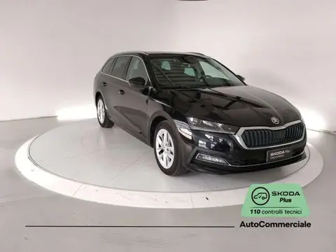 Used SKODA OCTAVIA Diesel 2023 Ad 