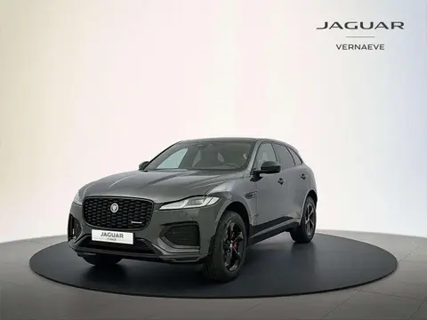 Used JAGUAR F-PACE Hybrid 2024 Ad 