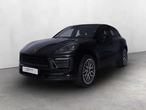 Used PORSCHE MACAN Petrol 2022 Ad 