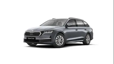 Annonce SKODA OCTAVIA Diesel 2024 d'occasion 