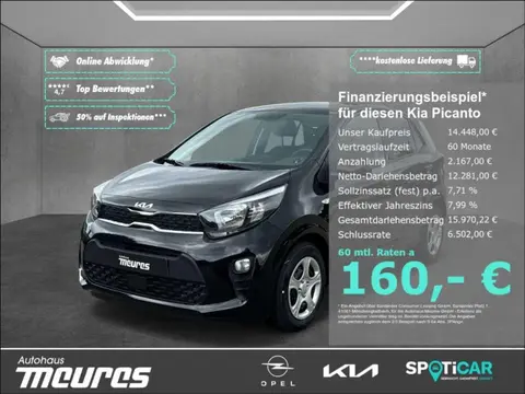 Used KIA PICANTO Petrol 2024 Ad 