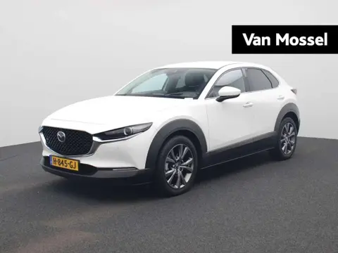 Annonce MAZDA CX-30 Hybride 2020 d'occasion 