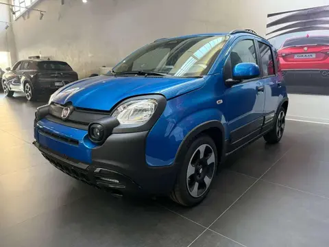 Annonce FIAT PANDA Hybride 2024 d'occasion 