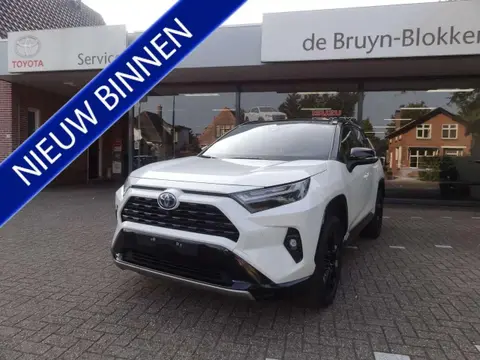 Used TOYOTA RAV4 Hybrid 2022 Ad 