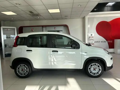 Used FIAT PANDA Hybrid 2024 Ad 