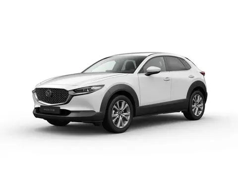 Annonce MAZDA CX-30 Hybride 2024 d'occasion 