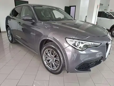 Annonce ALFA ROMEO STELVIO Diesel 2019 d'occasion 