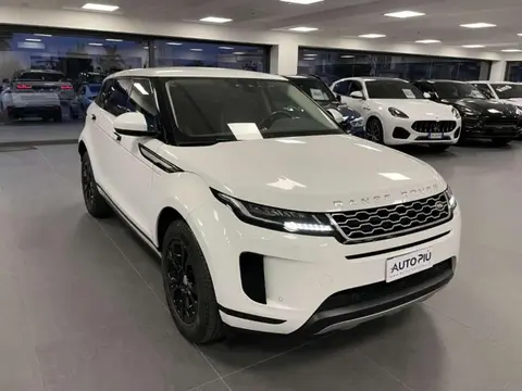 Used LAND ROVER RANGE ROVER EVOQUE Hybrid 2020 Ad 