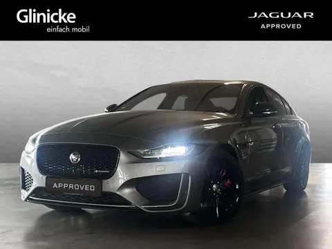 Used JAGUAR XE Diesel 2023 Ad 