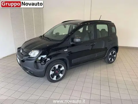 Used FIAT PANDA Hybrid 2020 Ad 