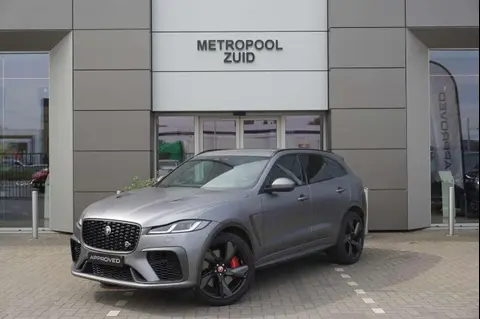 Used JAGUAR F-PACE Petrol 2021 Ad 